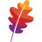 The Apache Software Foundation logo