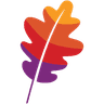 The Apache Software Foundation logo